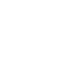 Fireworks Salvo — Uncommon Emote