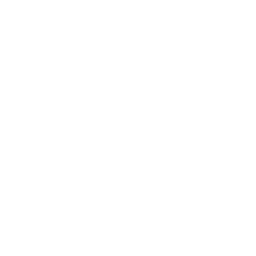 Test Your Strength — Uncommon Emote