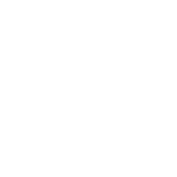 Frozone's Stunt — Uncommon Emote
