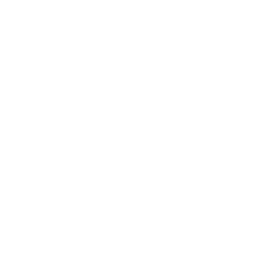 Ice Sculptor — Uncommon Emote