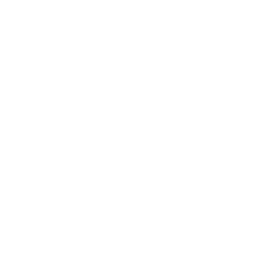 Riches — Uncommon Emote