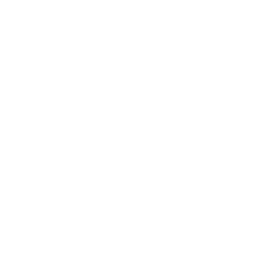 Revolver — Common Emote