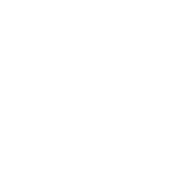 Stand Surfer — Common Emote