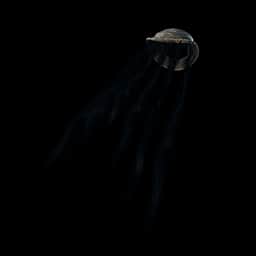 Shadow Shroud — Rare Back Bling