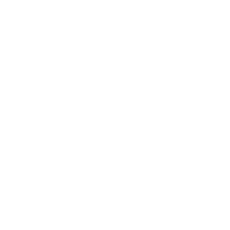 Fly to Tokyo — Uncommon Emote