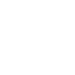 #1 Fan Llama — Uncommon Emote
