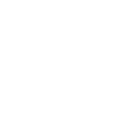 Soar Above — Uncommon Emote