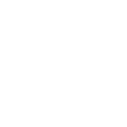 Lil' Winterfest Tree — Uncommon Emote