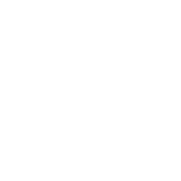 Cymbal Spinner — Common Emote