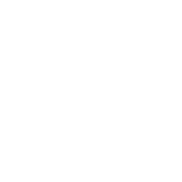 Hammer On — Common Emote