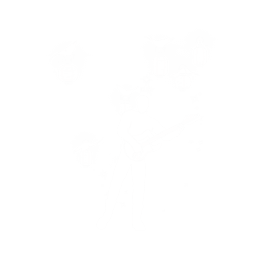 Melodic Illumination — Common Emote