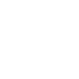 Syntheslicer — Common Emote