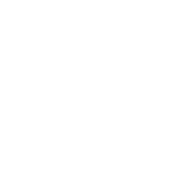 Mic Staff — Common Emote
