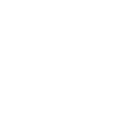 Conqueror's Claim — Uncommon Emote