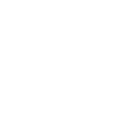 Fire Arrow — Uncommon Emote