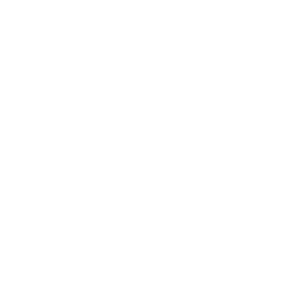 Firework — Uncommon Emote