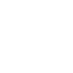 Mr. Brightside — Uncommon Emote