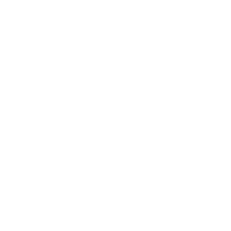 Swag Surfin' — Uncommon Emote