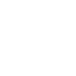 In The End — Uncommon Emote