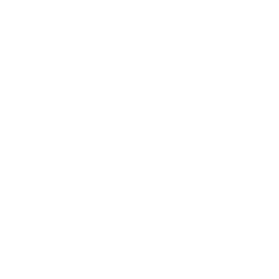 Raiden's Victory — Uncommon Emote