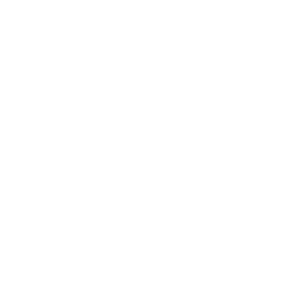 Champion's Blade-Splitter — Uncommon Emote
