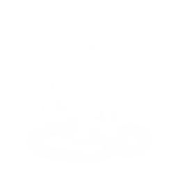 Force Lightning — Uncommon Emote