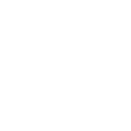 Whistling Bird Salute — Uncommon Emote