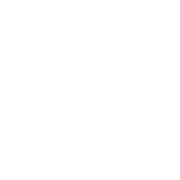Fast Slow Disco — Uncommon Emote
