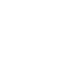 Strum Stepper — Common Emote