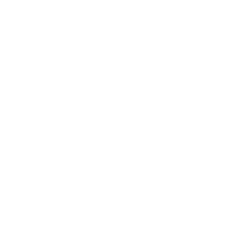 Birdarang Flourish — Uncommon Emote