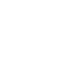 Camera Celebration — Uncommon Emote