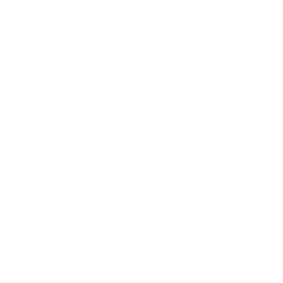 Nanite Flex — Uncommon Emote