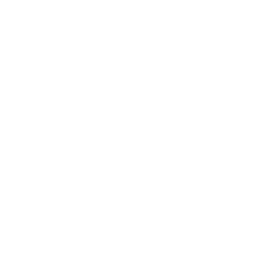 Reporting for Duty — Uncommon Emote