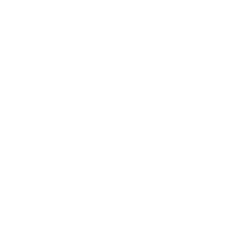Lil' Zord Battle Mode — Uncommon Emote