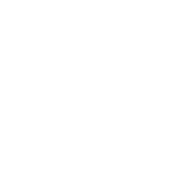 GO GO POWER RANGERS — Uncommon Emote