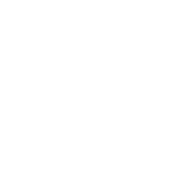 Zordon's Message — Uncommon Emote