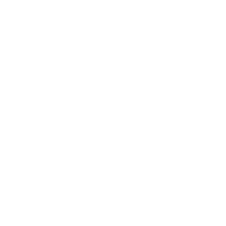 Lil' Ducky Train — Uncommon Emote