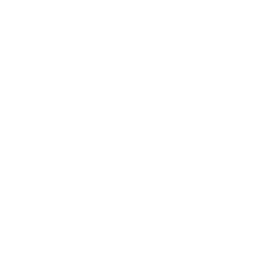 Bike to Go — Uncommon Emote