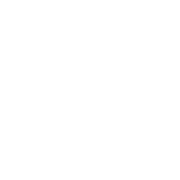 Miner's Shanty — Uncommon Emote