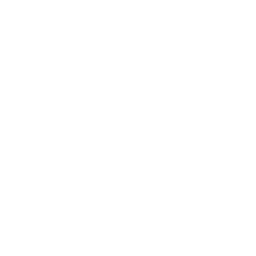 Song 2 — Uncommon Emote
