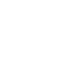 Champion's Medal — Uncommon Emote