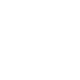 I Lied, I'm Sorry — Uncommon Emote