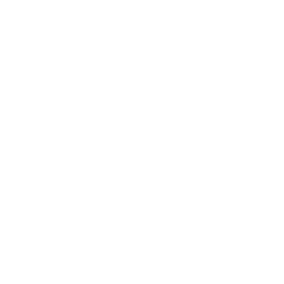 Options — Uncommon Emote