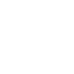 Search for Clues — Uncommon Emote