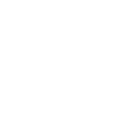 Ascend! — Common Emote