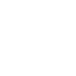 Ride's here! — Common Emote