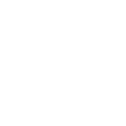 Lil' Mystery Machine — Uncommon Emote