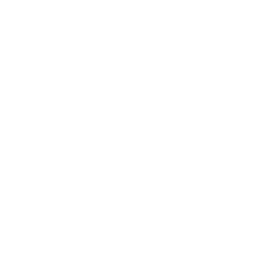 PUMA: Borussia Dortmund Decal — Epic Bundles