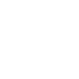 Lil' Station Wagon — Uncommon Emote