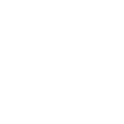 Saxophone Solo — Uncommon Emote